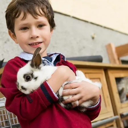 Kristall מלון 4*